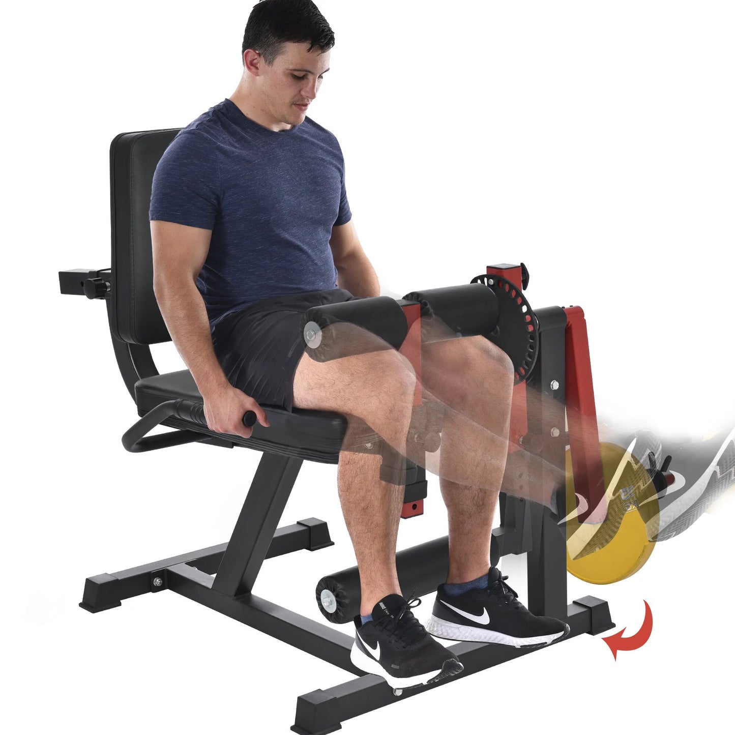 US Stock Leg Extension and Curl Machine - thefitnesstrainingshop